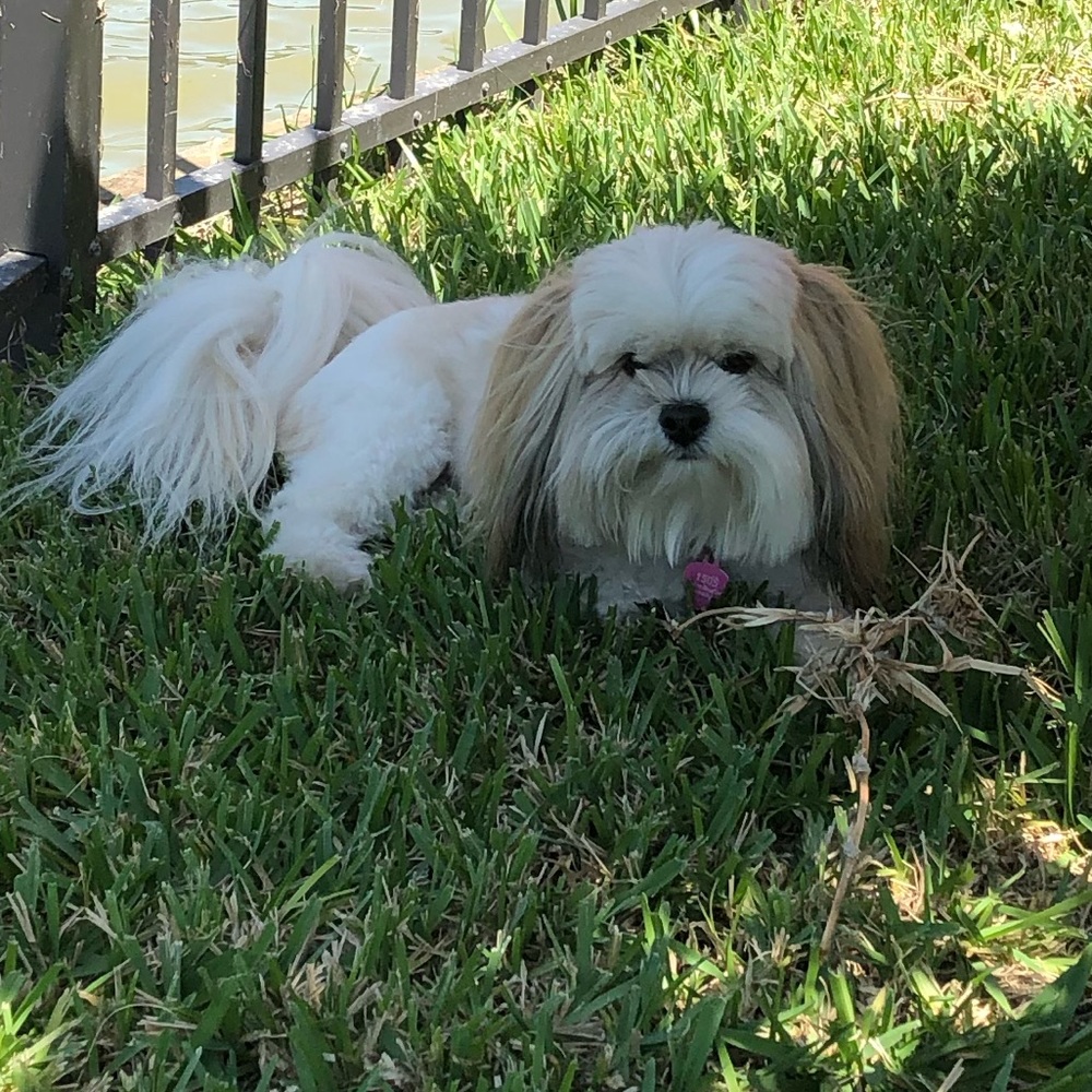 Meet your Posher, Andrea